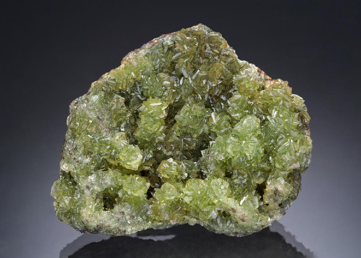 CC28903 specimen image