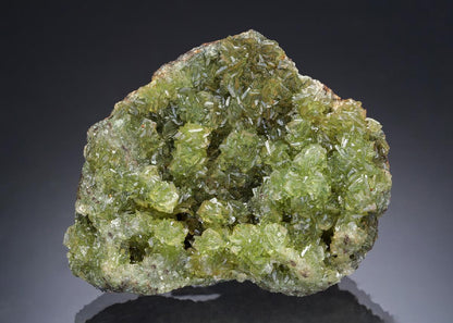 CC28903 specimen image