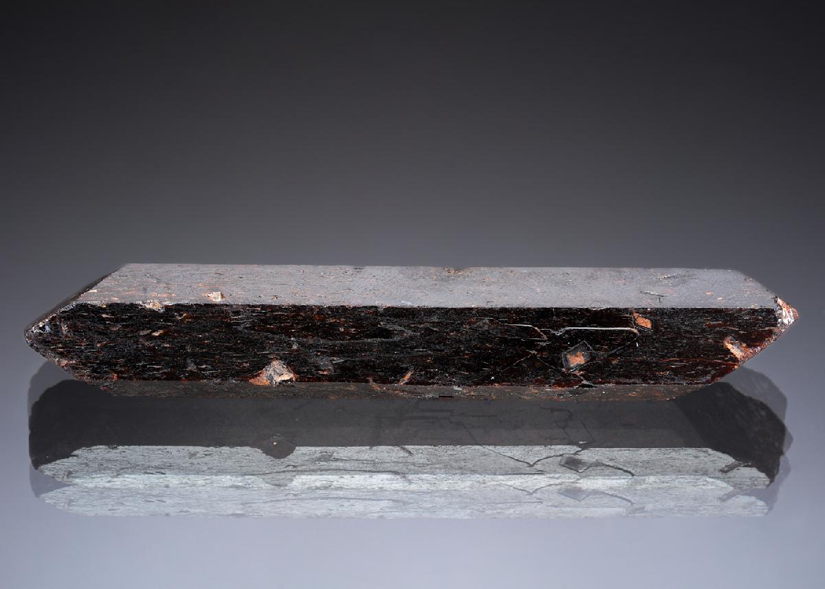 CC28907 specimen image