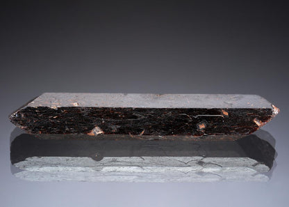 CC28907 specimen image