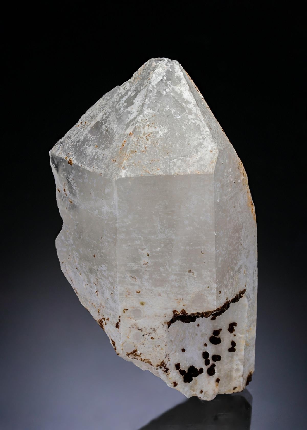 CC28911 specimen image