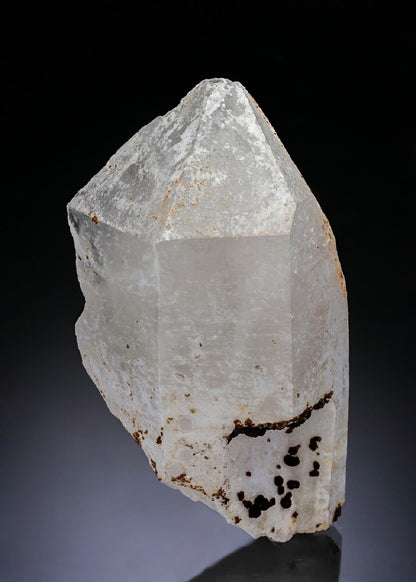 CC28911 specimen image