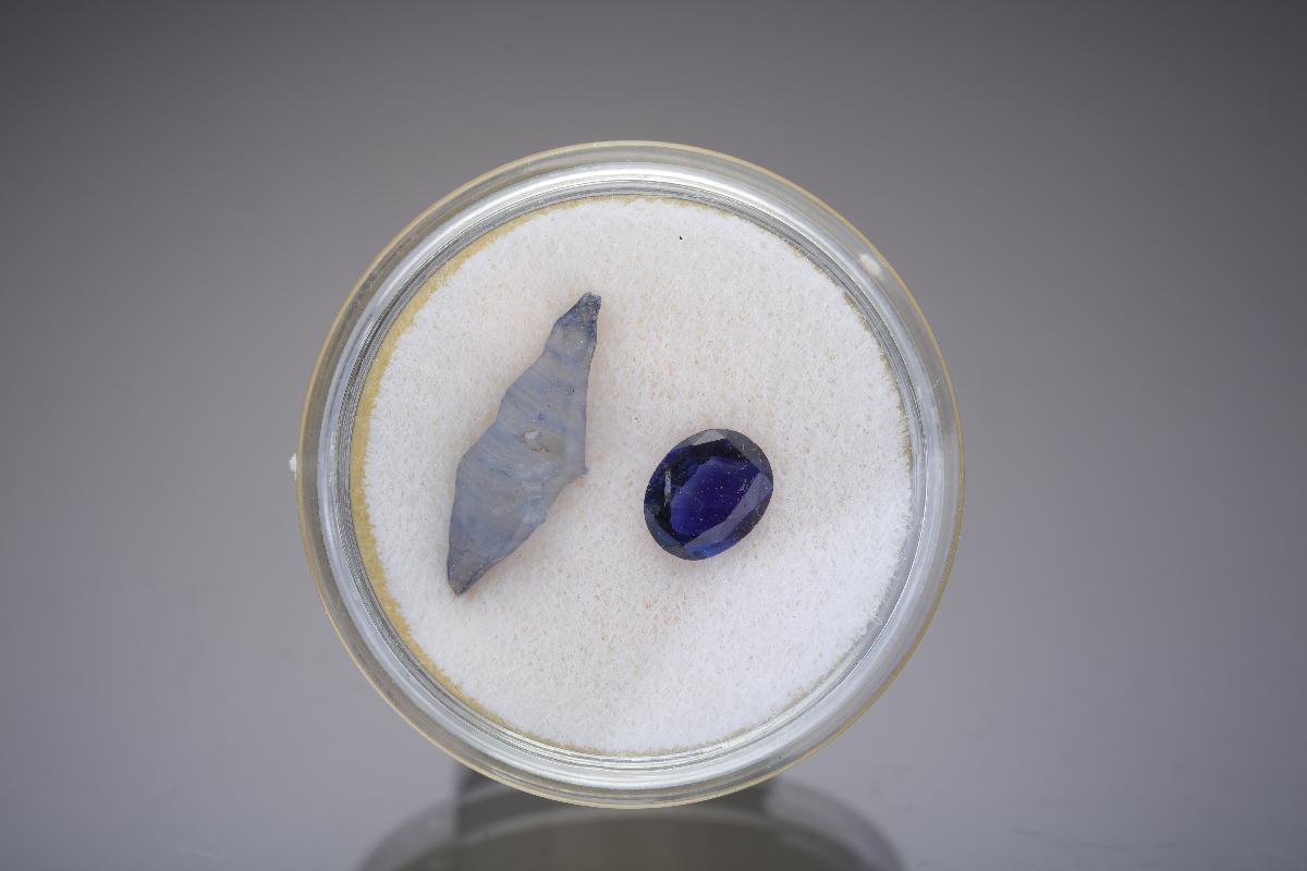 CC28913 specimen image