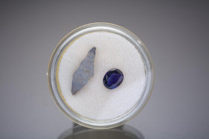 CC28913 specimen image