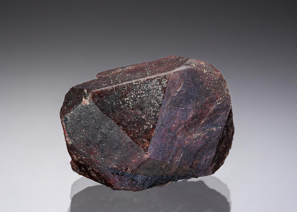 CC28955 specimen image