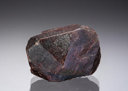 CC28955 specimen image