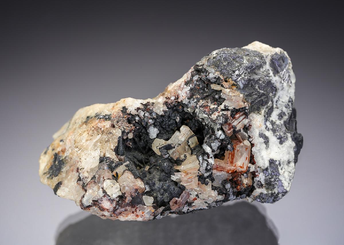 CC28957 specimen image