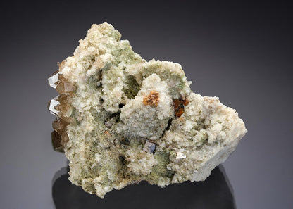 CC28959 specimen image