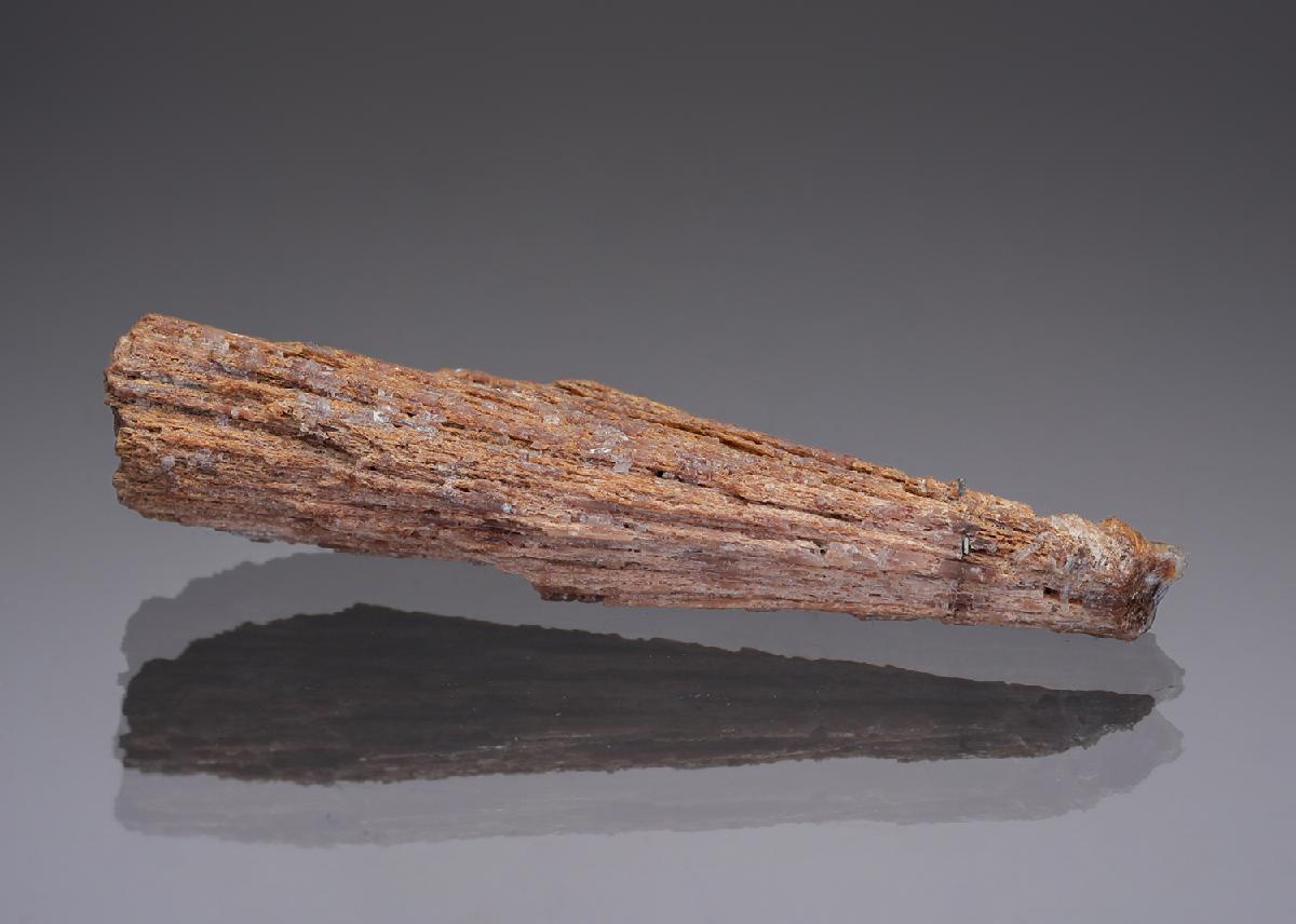 CC28969 specimen image