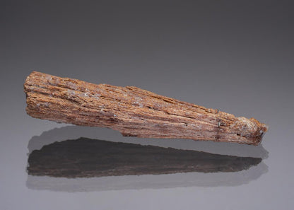 CC28969 specimen image