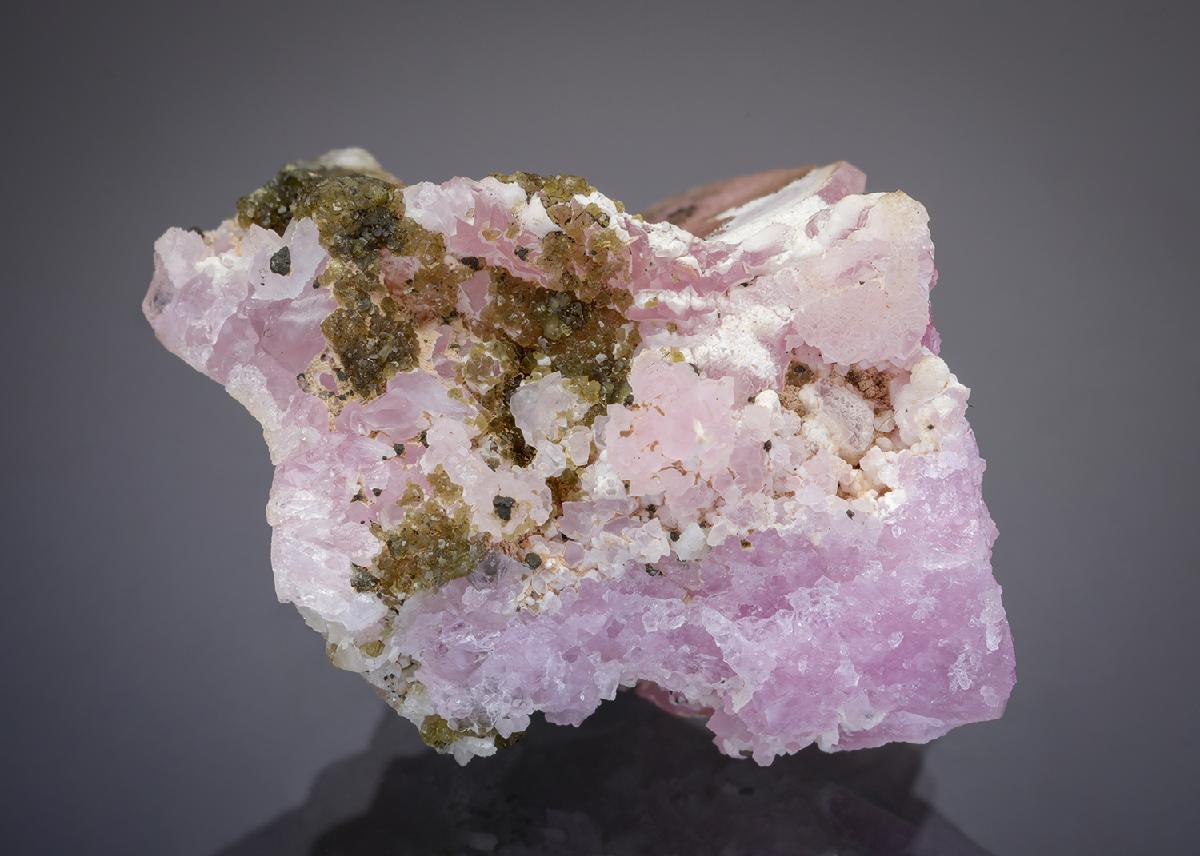 CC28979 specimen image