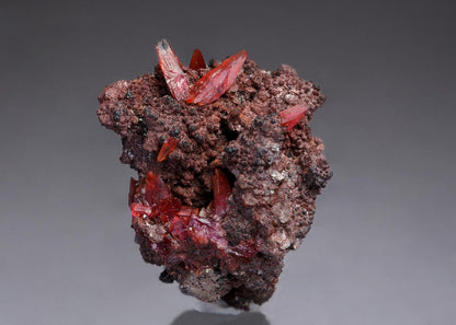 CC28989 specimen image