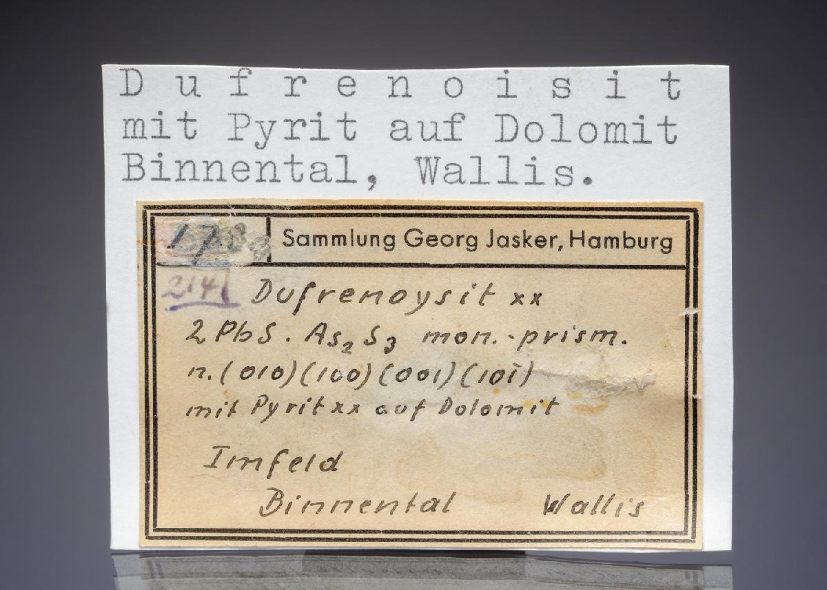 CC28995 specimen image