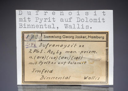 CC28995 specimen image