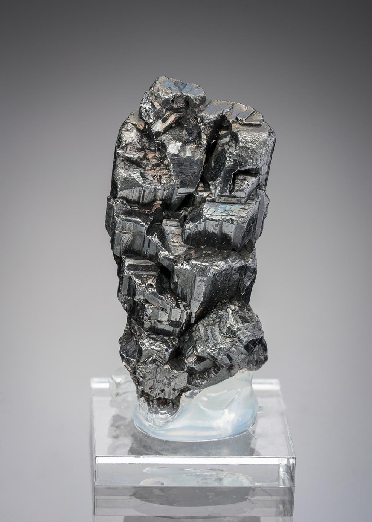 CC28997 specimen image