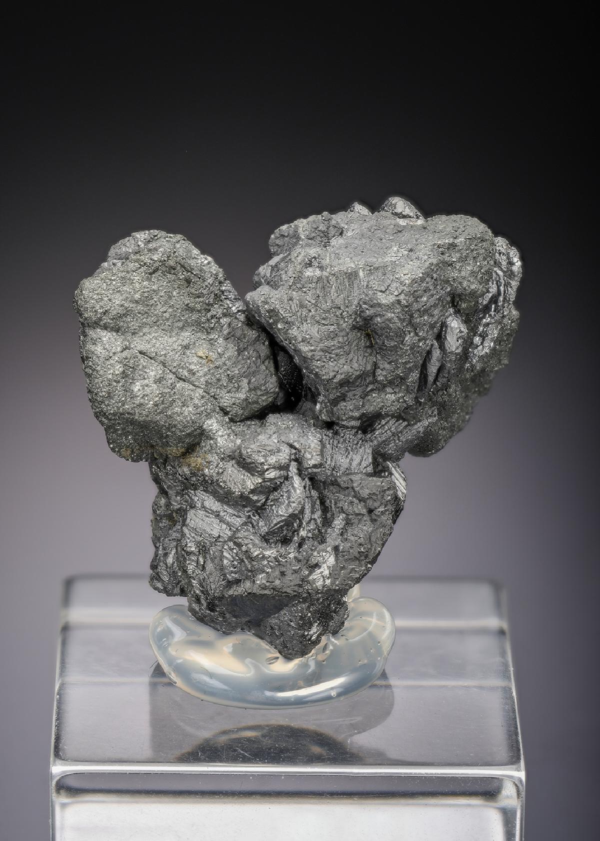 CC28999 specimen image