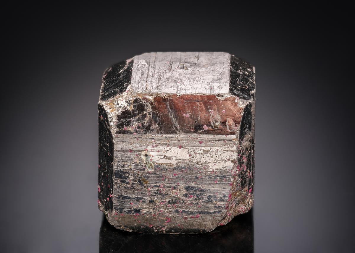 CC29001 specimen image