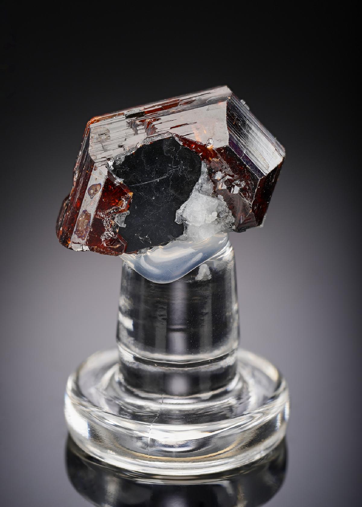 CC29003 specimen image