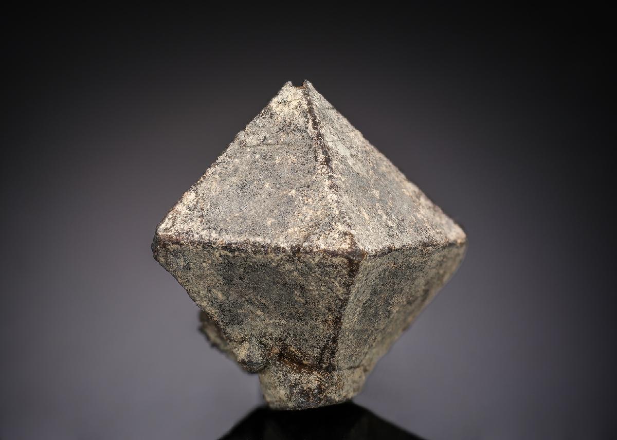 CC29005 specimen image