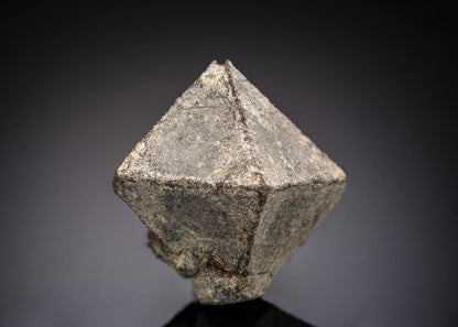 CC29005 specimen image