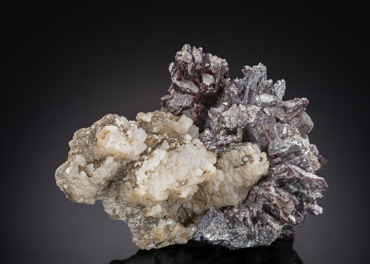 CC29009 specimen image