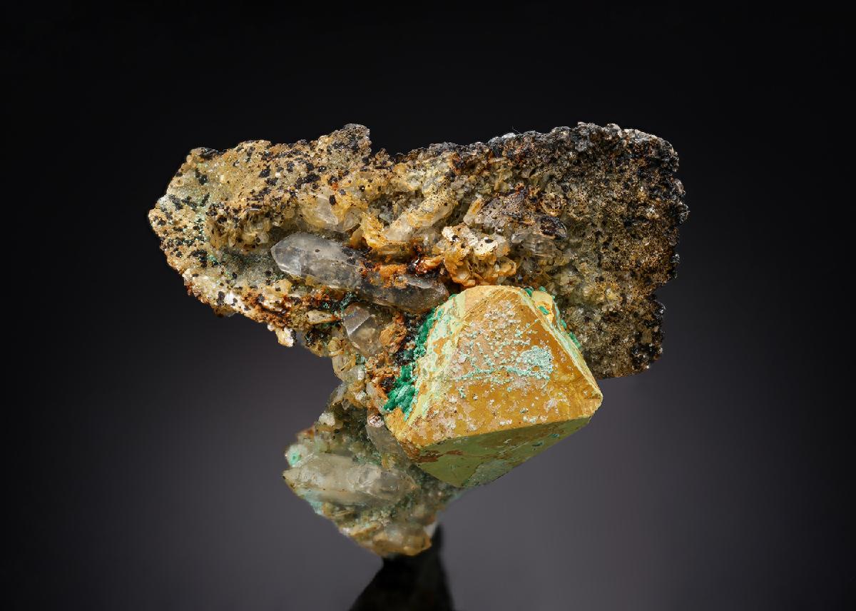 CC29017 specimen image