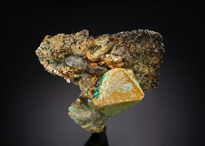CC29017 specimen image