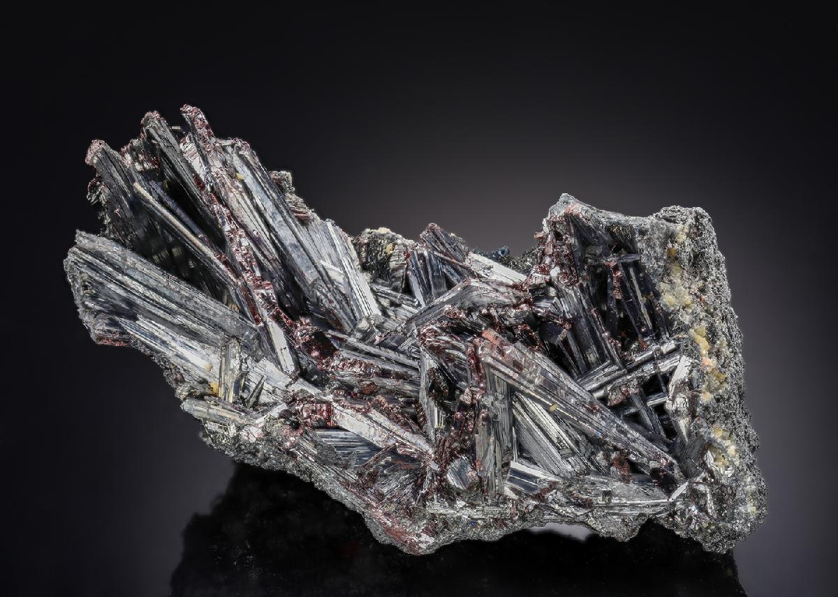 CC29027 specimen image