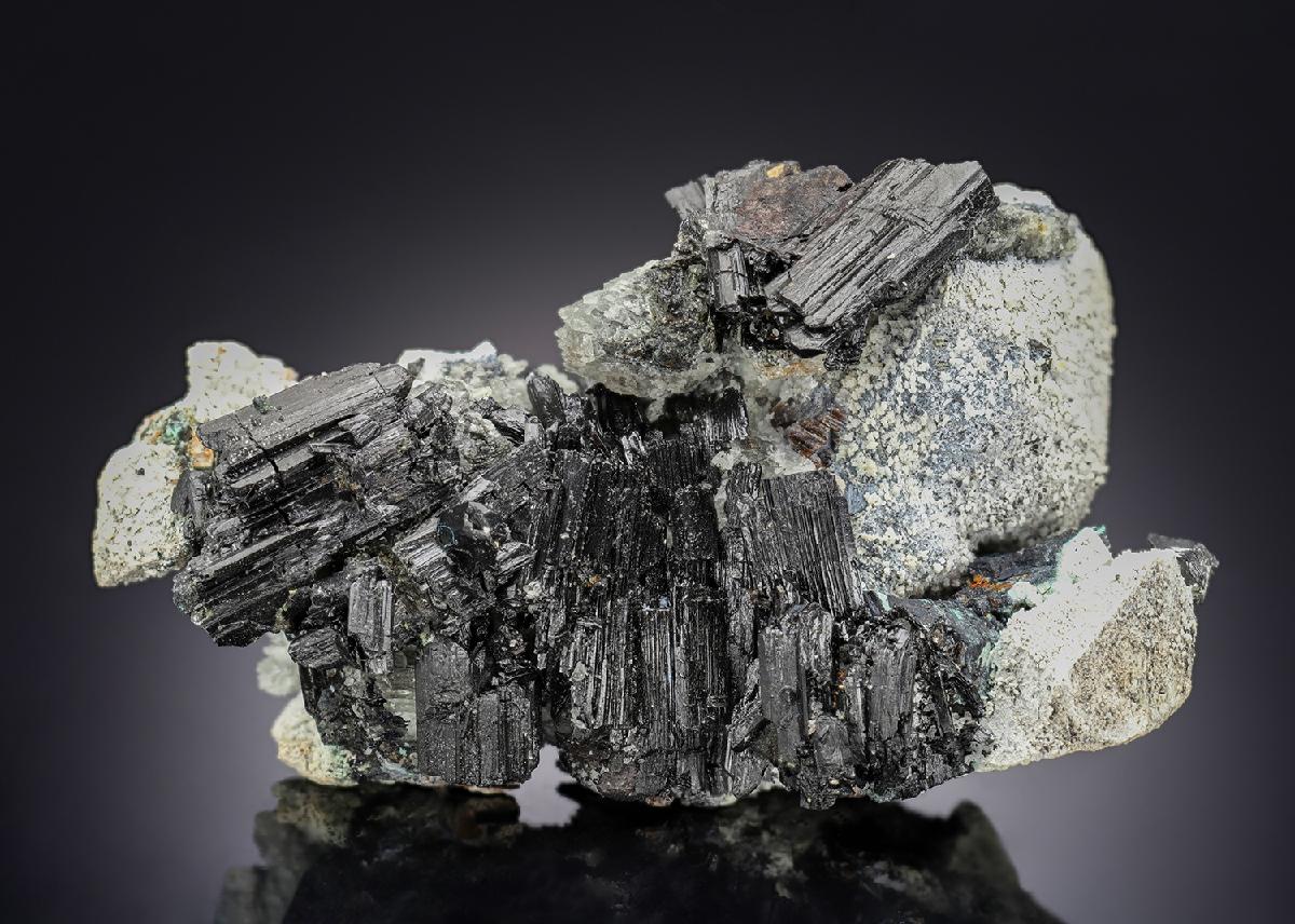 CC29029 specimen image