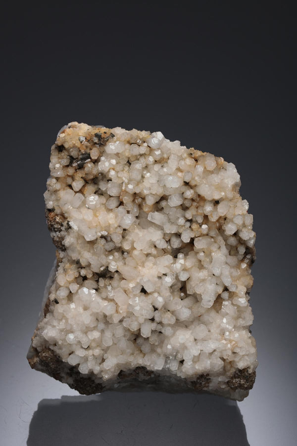 CC29033 specimen image