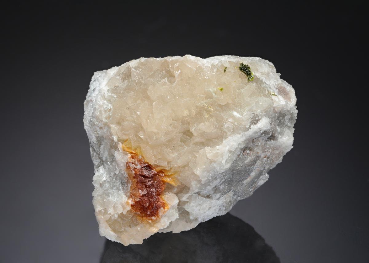 CC29051 specimen image