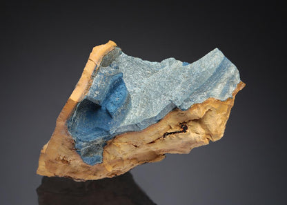 CC29053 specimen image