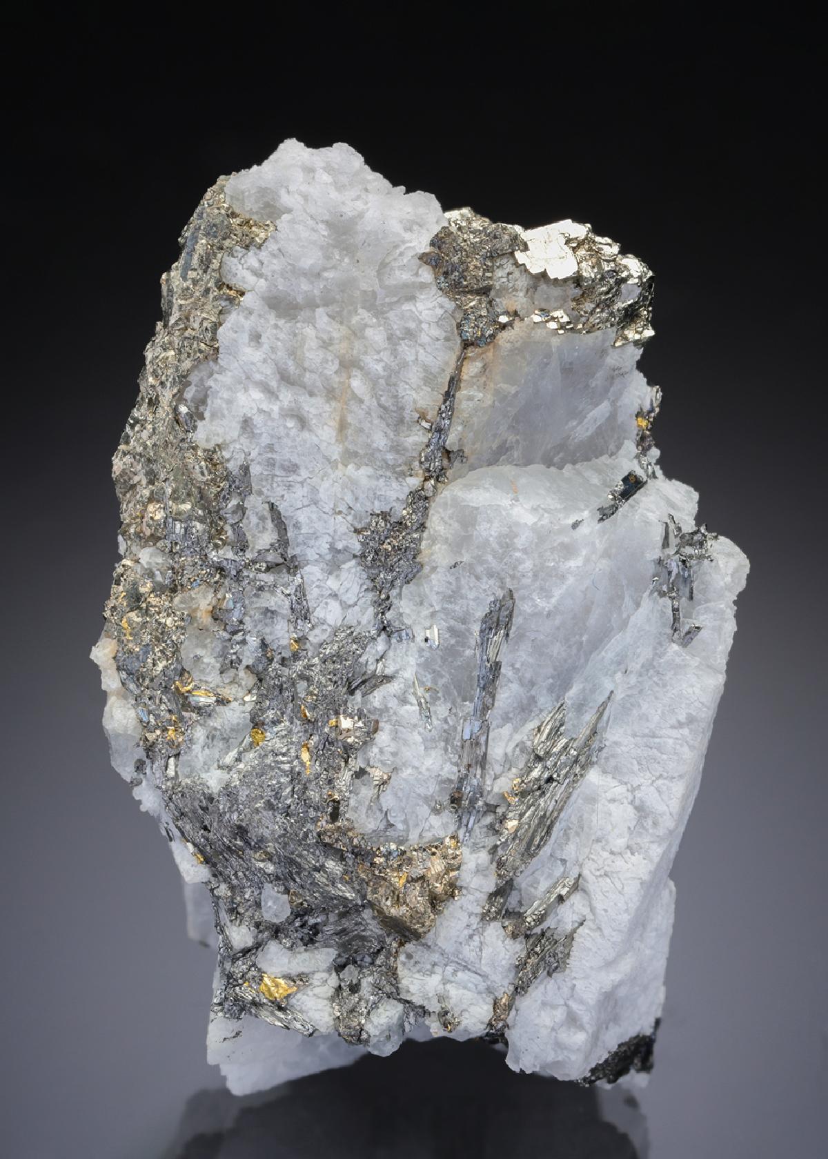 CC29067 specimen image