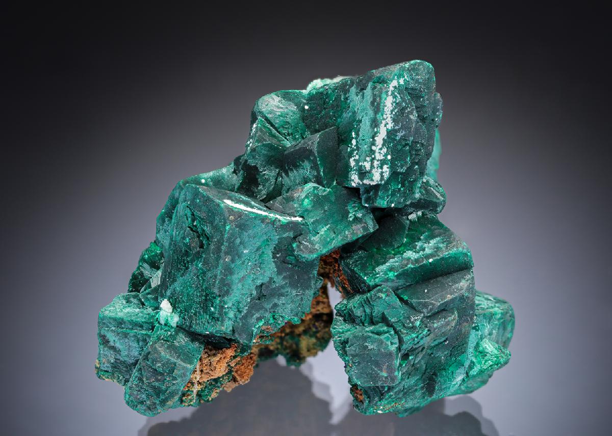 CC29069 specimen image