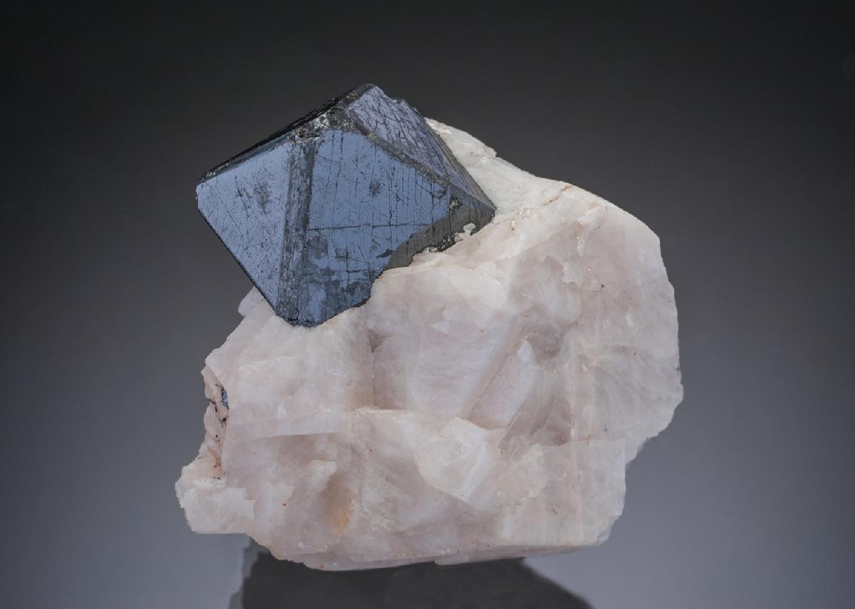 CC29075 specimen image