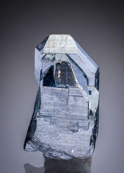 CC29077 specimen image