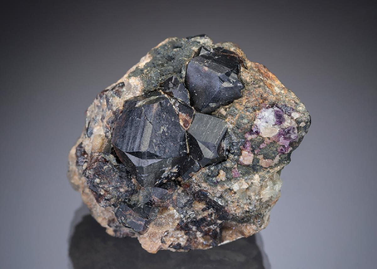 CC29083 specimen image