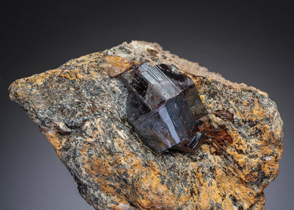 CC29085 specimen image