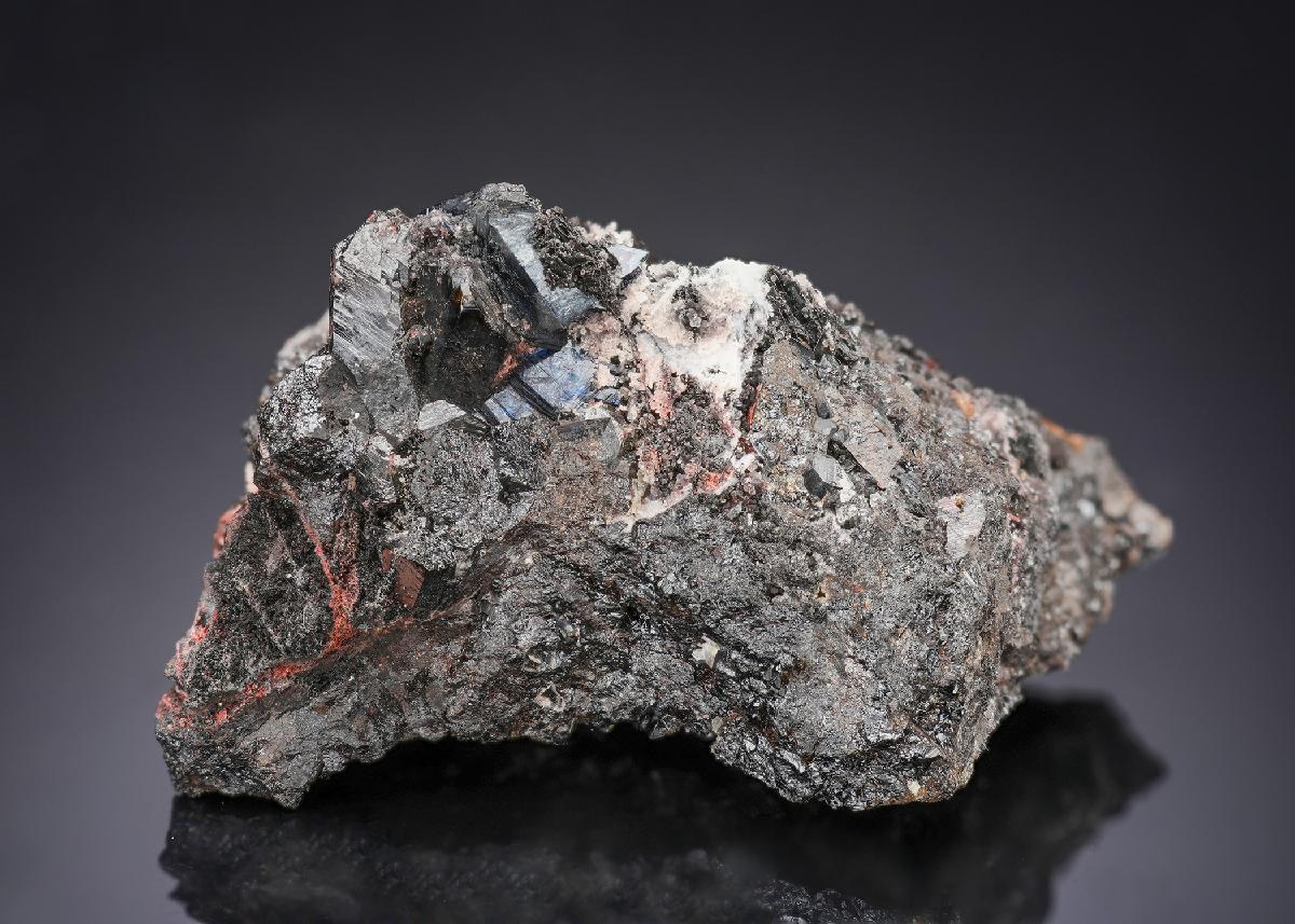 CC29099 specimen image