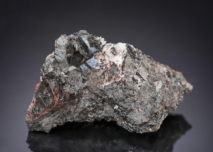 CC29099 specimen image