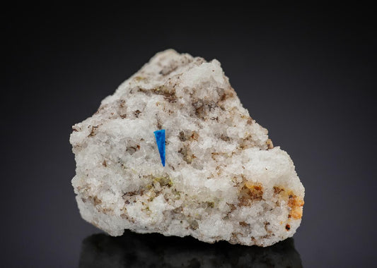CC29105 specimen image