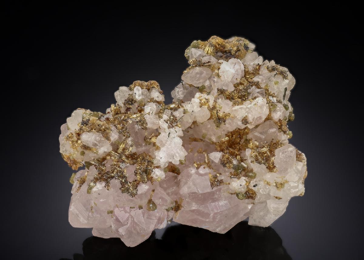 CC29109 specimen image