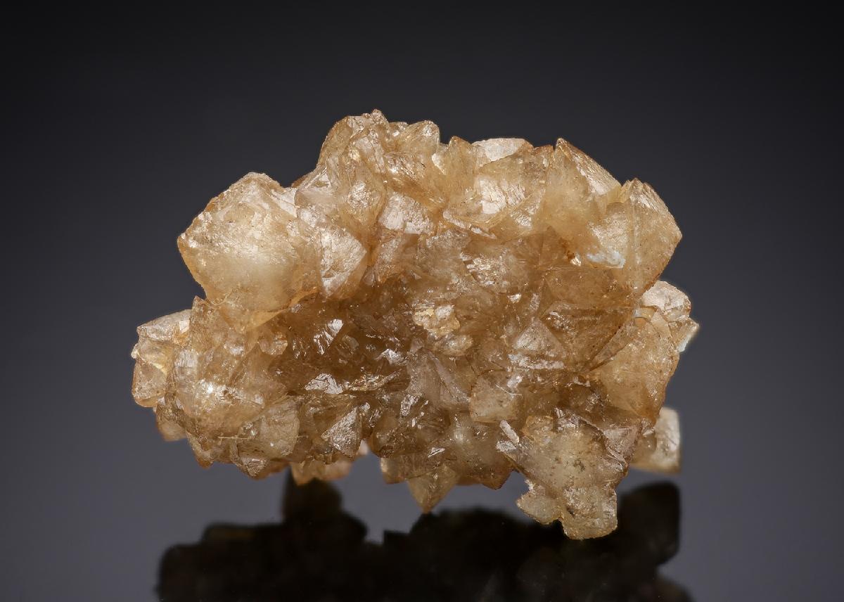 CC29111 specimen image