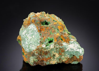 CC29113 specimen image