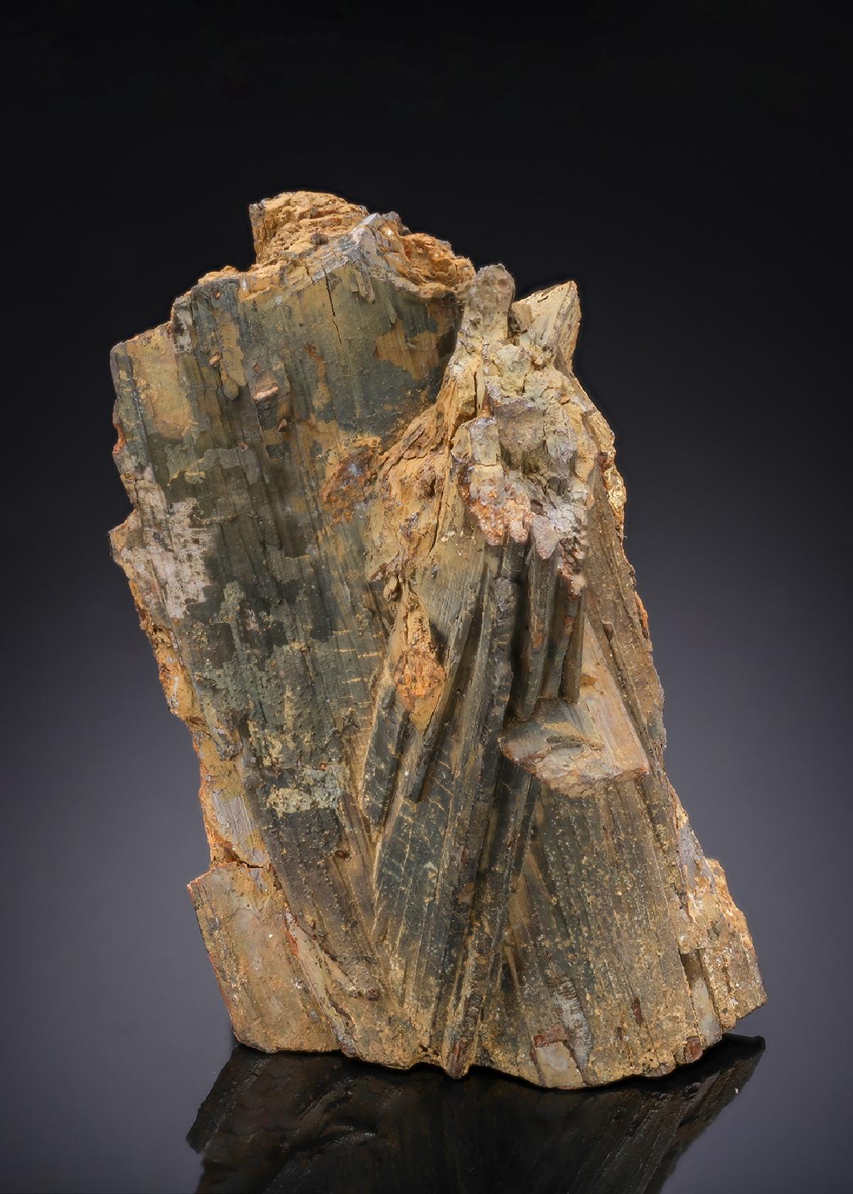 CC29119 specimen image