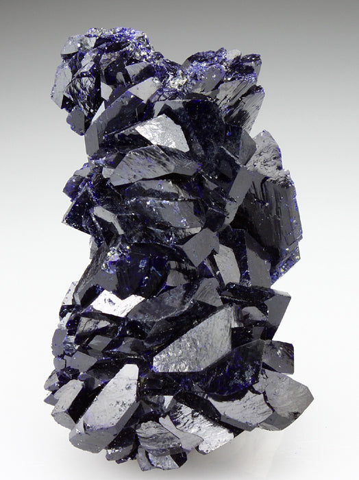 CC2911 specimen image