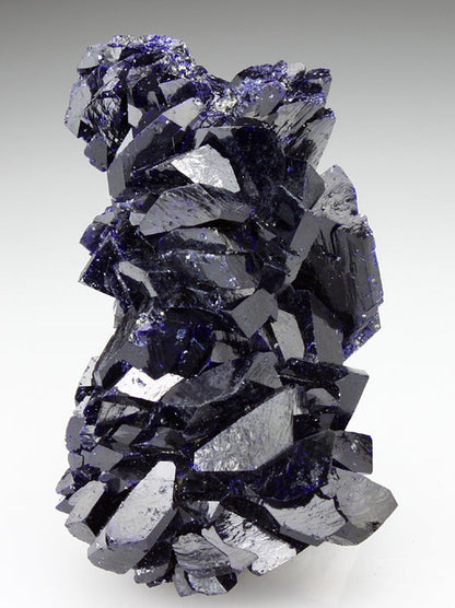CC2911 specimen image