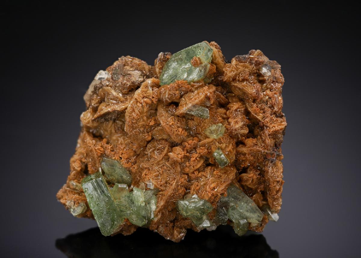 CC29121 specimen image