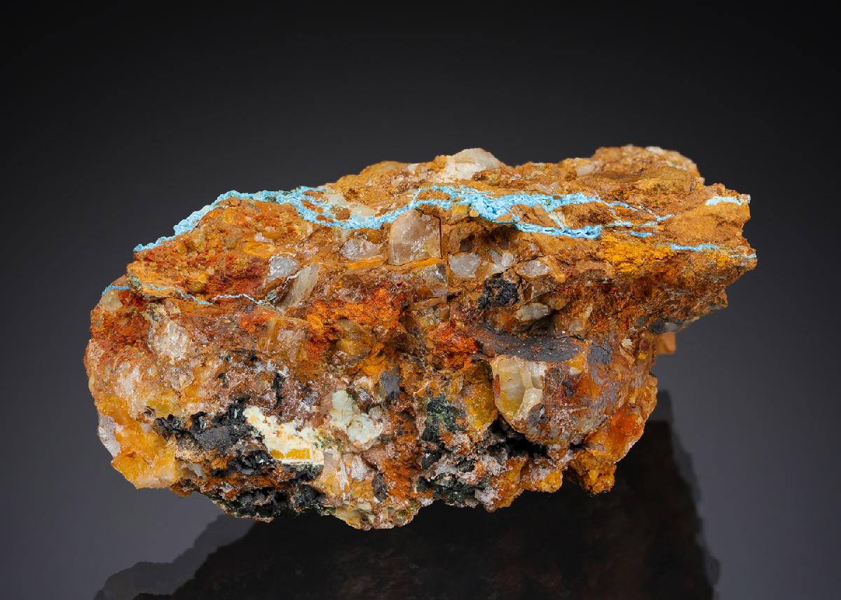 CC29161 specimen image