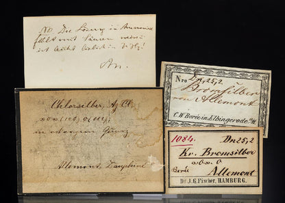 CC29173 specimen image